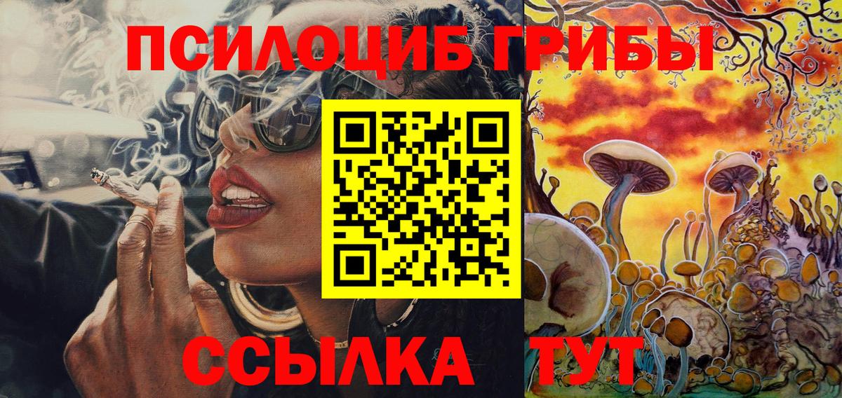 Курчатов  Псилоцибиновые грибы Cubensis  Вход с VPN 